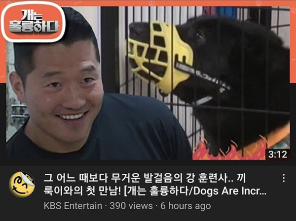 개훌륭 강형욱 썸네일 근황