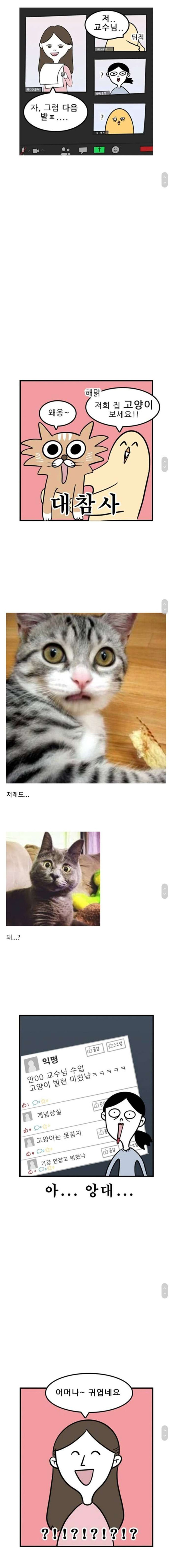 여대 비대면수업 후기