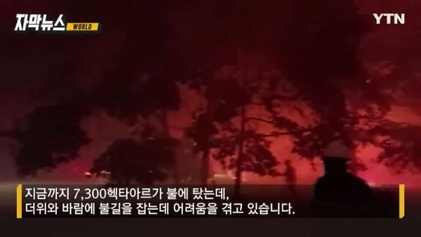 기록 갈아치우는 무더위