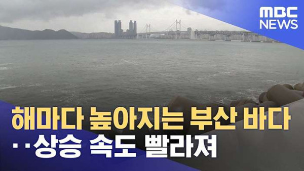 기후변화로 인해 나타나는 파급효과들