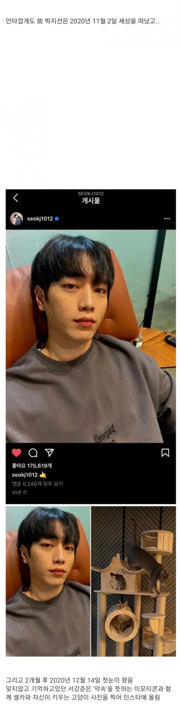 서강준이 갑자기 인스타에 셀카를 올린 이유