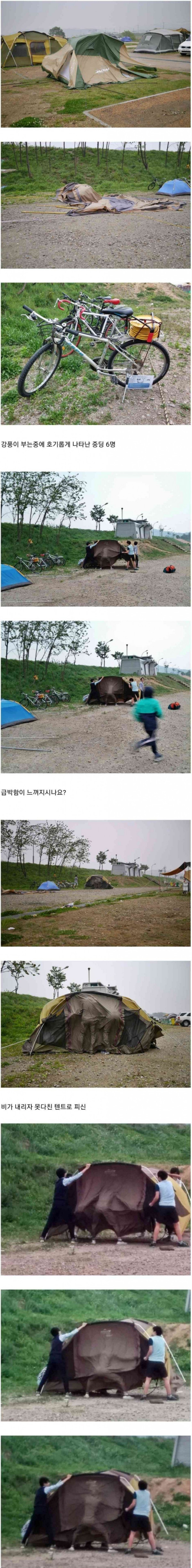 캠핑 온 중딩들