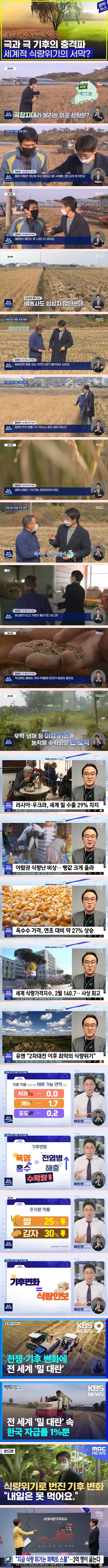 기후변화로 인해 나타나는 파급효과들