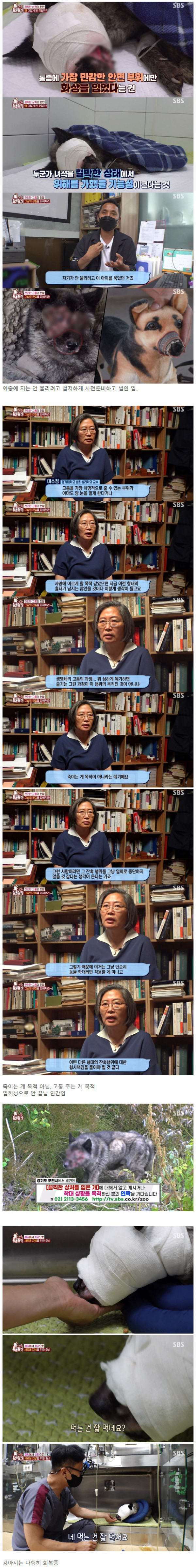 동물농장에서 제보받고 있는 끔찍한 사건