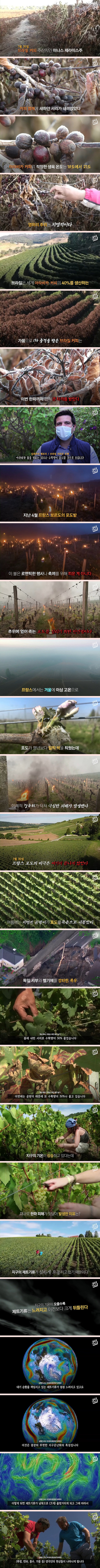 기후변화로 인해 나타나는 파급효과들