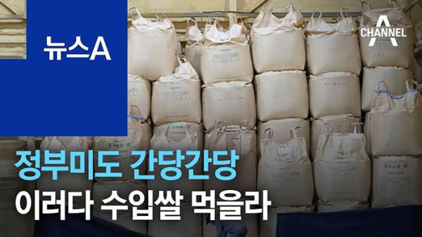 기후변화로 인해 나타나는 파급효과들