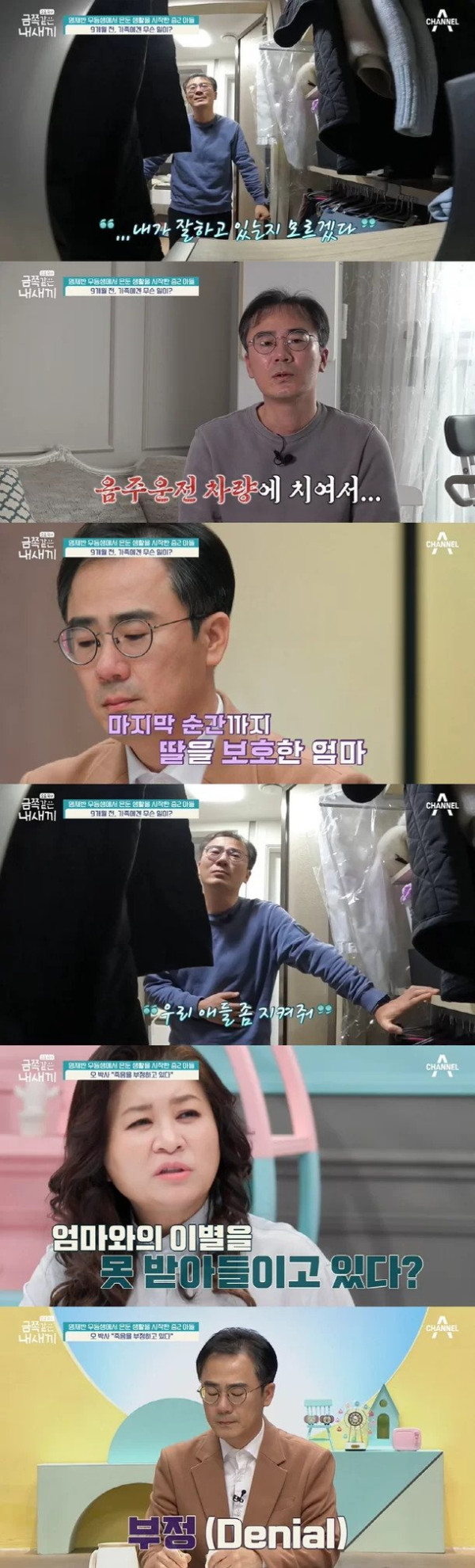 음주운전 사고로 엄마 잃은 금쪽이