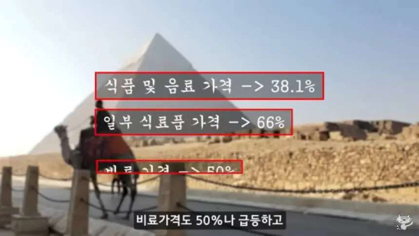 현재 이집트 상황