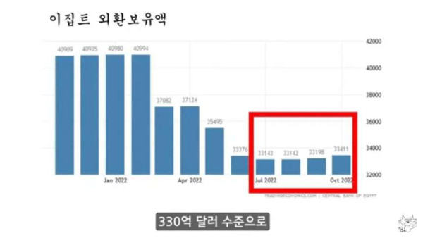 현재 이집트 상황