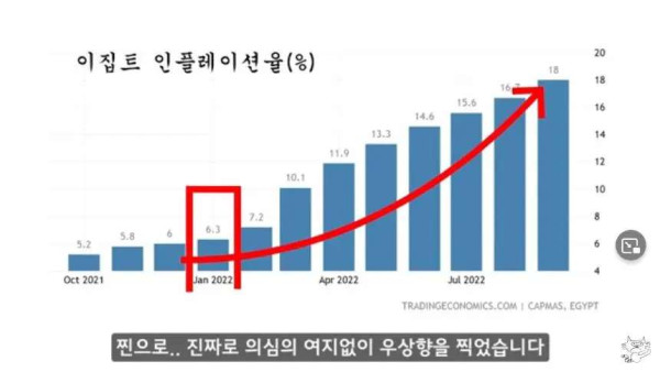 현재 이집트 상황