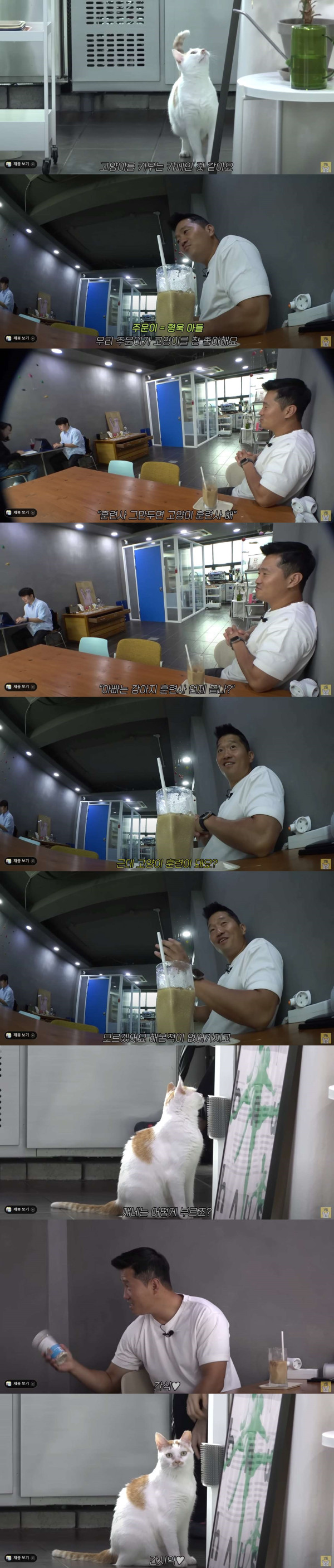 고양이에 대해서는 잘 모르는 개통령 강형욱