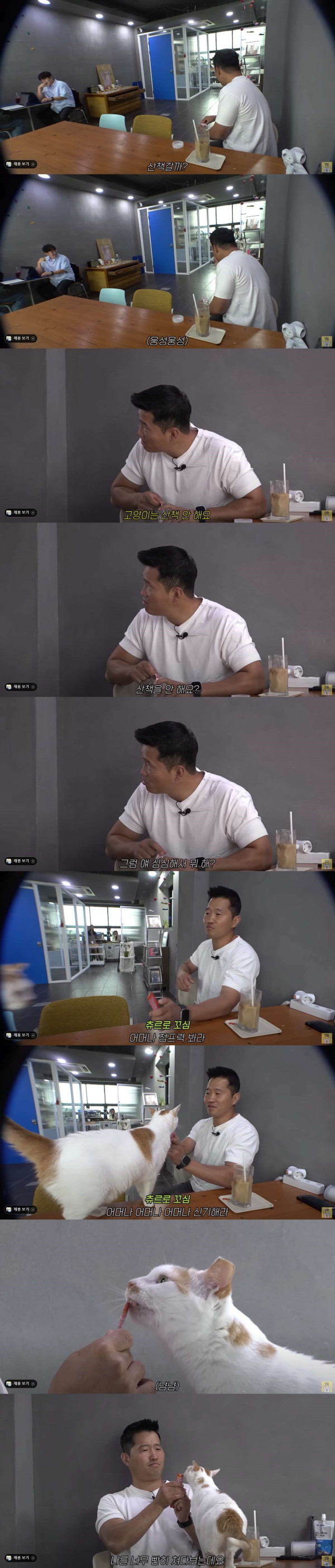 고양이에 대해서는 잘 모르는 개통령 강형욱