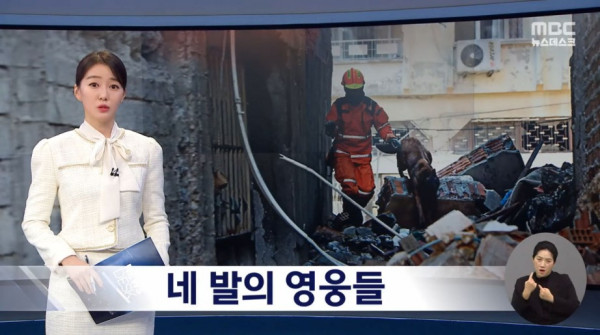 구조작업에 투입됐던 한국 구조견들 근황