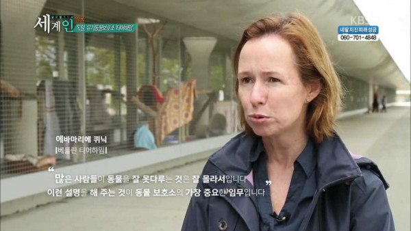 독일의 동물 보호소 수준