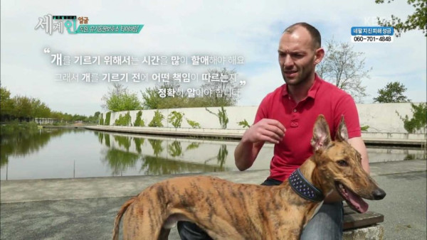 독일의 동물 보호소 수준