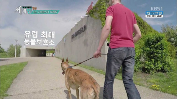 독일의 동물 보호소 수준