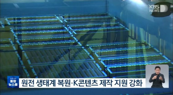 내년 예산안 상황
