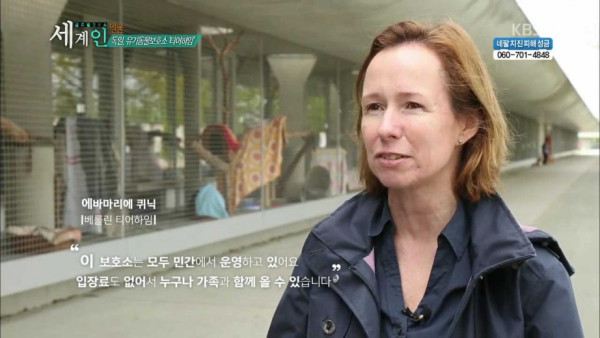 독일의 동물 보호소 수준