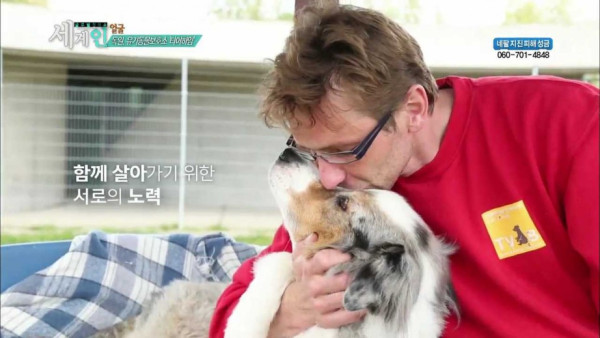 독일의 동물 보호소 수준