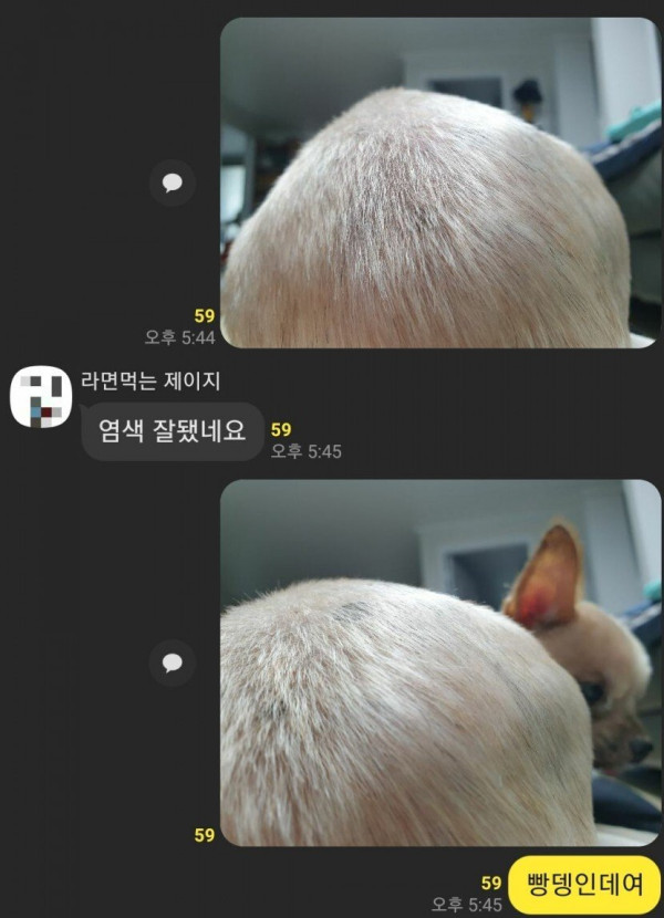 함부로 남의 헤어스타일을 평가하면 안되는 이유