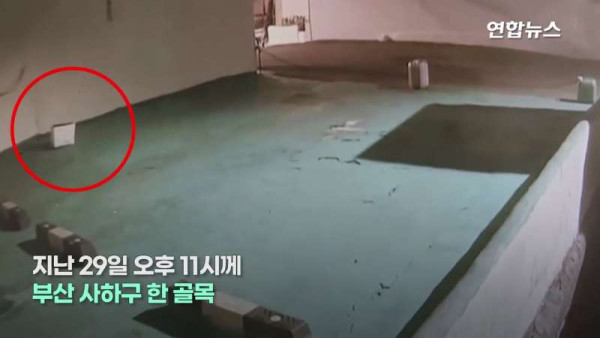 충격적인 영아 유기 사건
