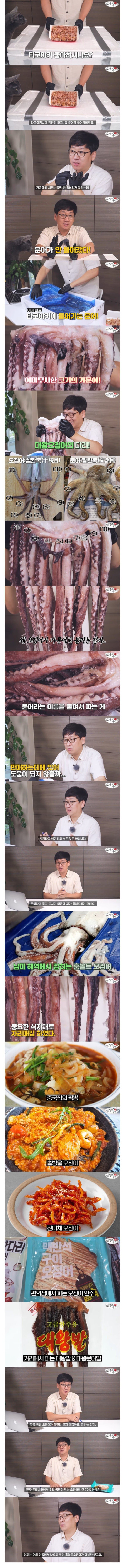 저가 음식에서 쓰는 문어 대체품