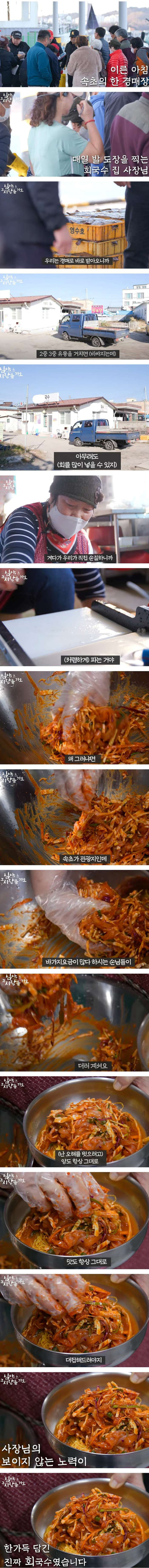 백종원이 깜짝 놀란 속초 회덮밥과 회국수