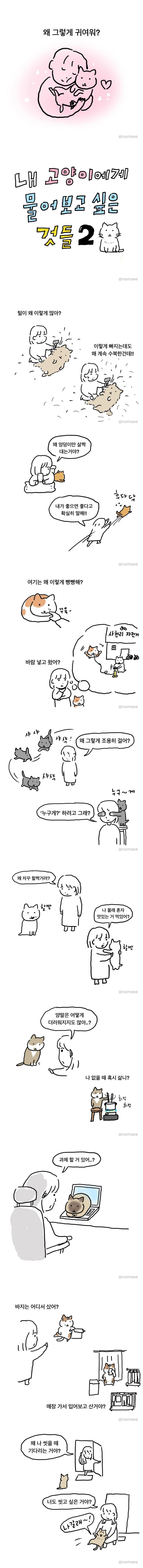 내 고양이에게 물어보고 싶은 것들.만화