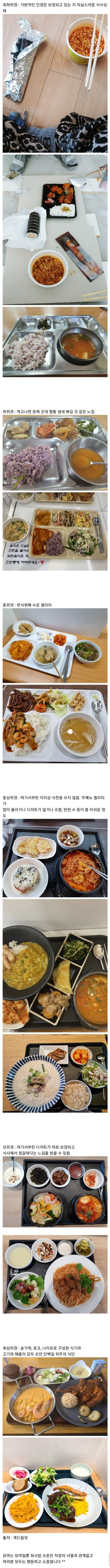 회사 점심 티어표