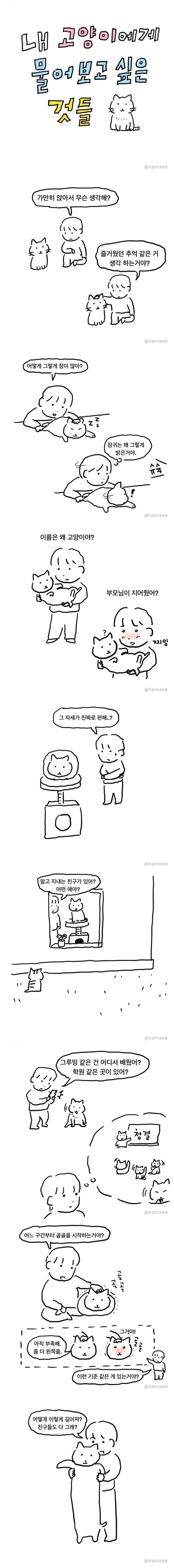 내 고양이에게 물어보고 싶은 것들.만화