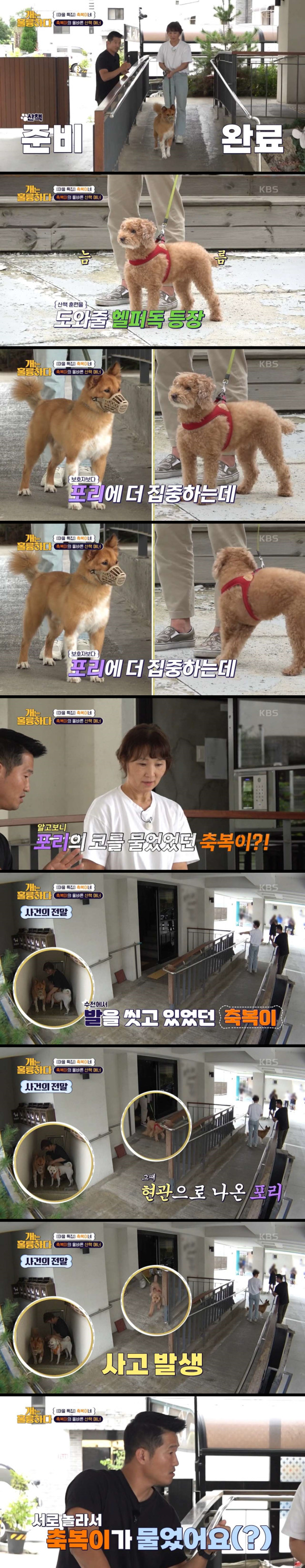 보호자한테 일침 놓는 강형욱