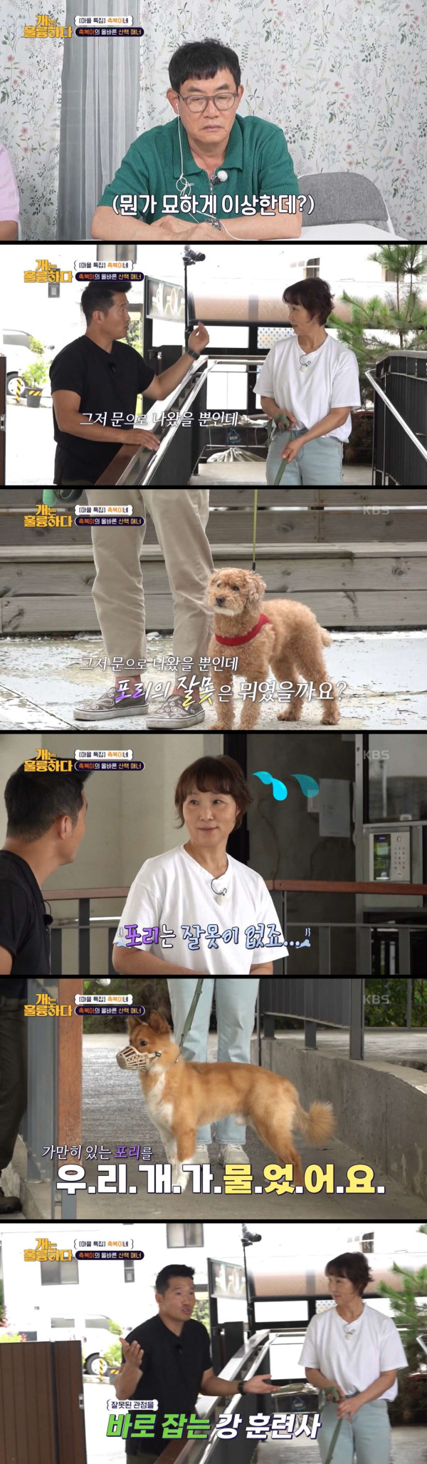 보호자한테 일침 놓는 강형욱