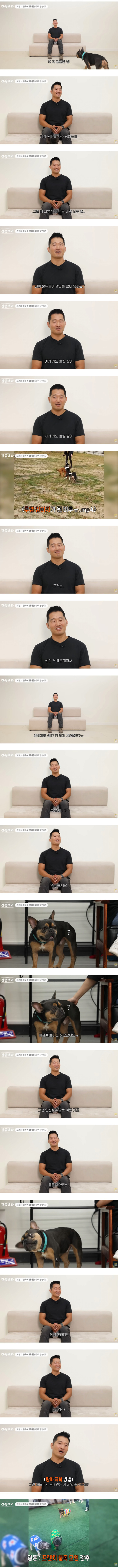 왕따를 자주 당한다는 견종