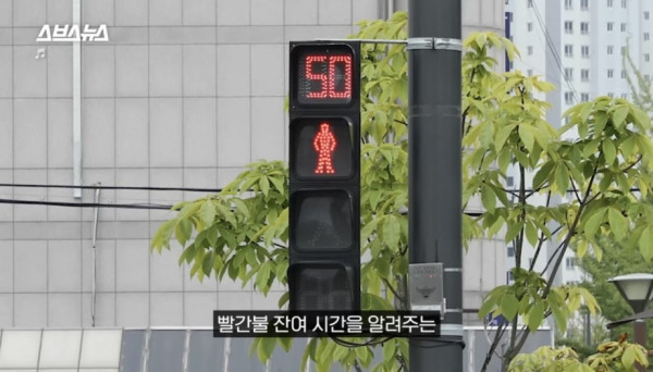 한국인들이 그토록 바라던 신호등 출시