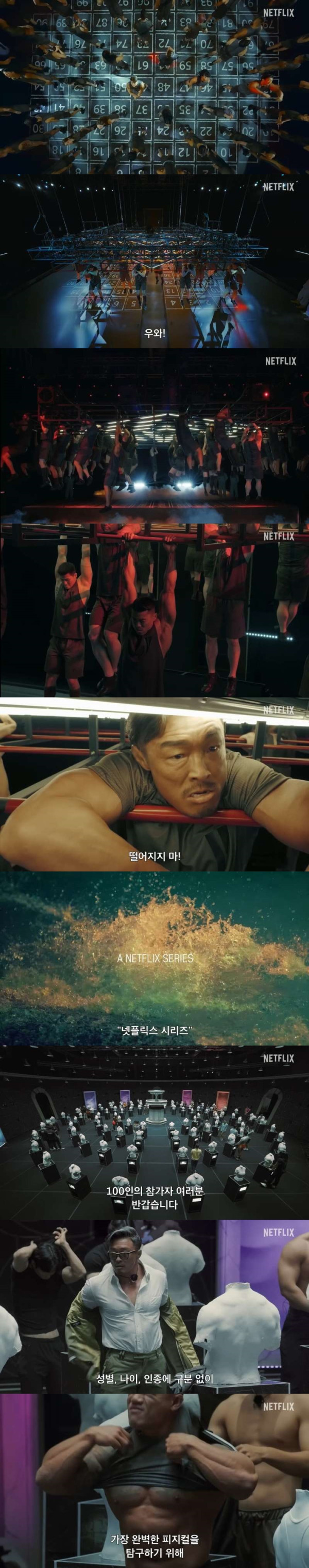 넷플릭스 기대작 이라는 피지컬100