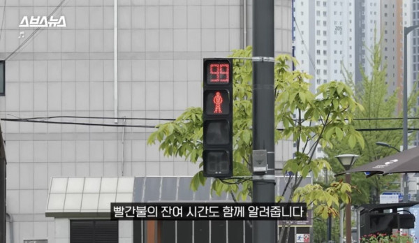 한국인들이 그토록 바라던 신호등 출시