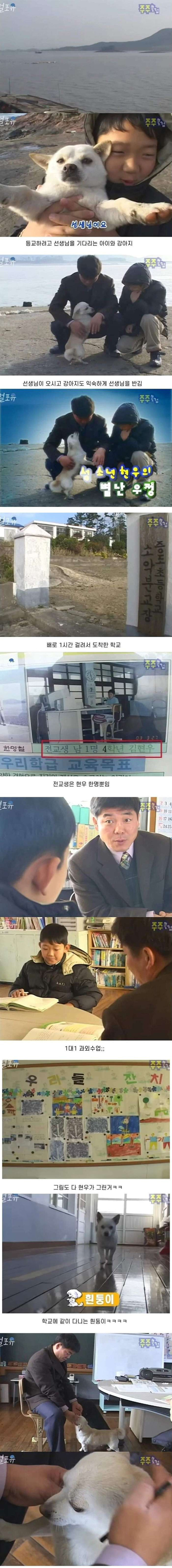 강아지랑 같이 등교하는 초딩