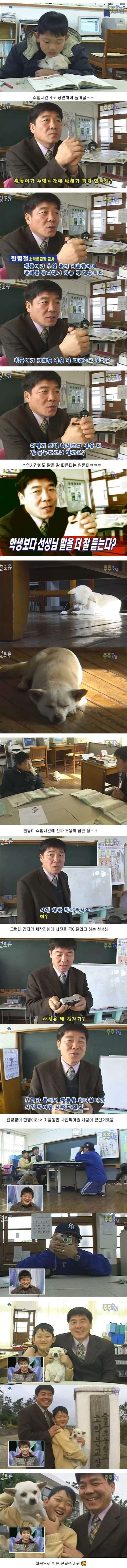 강아지랑 같이 등교하는 초딩