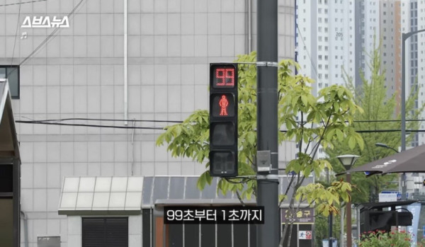 한국인들이 그토록 바라던 신호등 출시