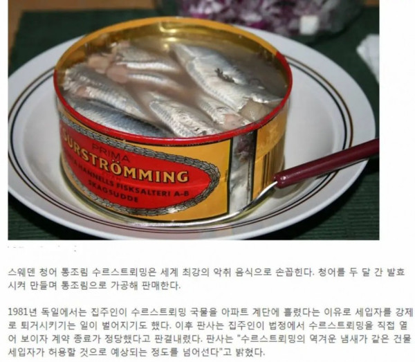 생각보다 힘든 직업 유튜버