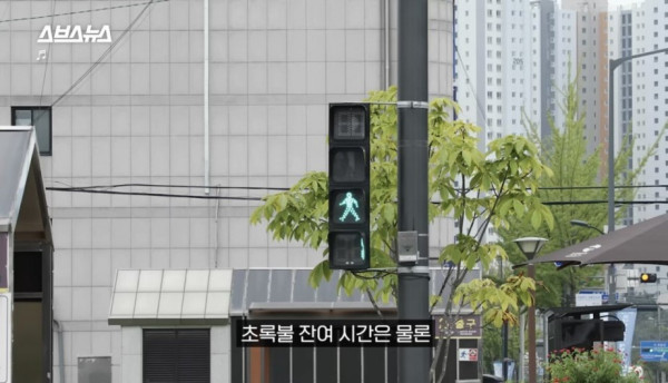 한국인들이 그토록 바라던 신호등 출시