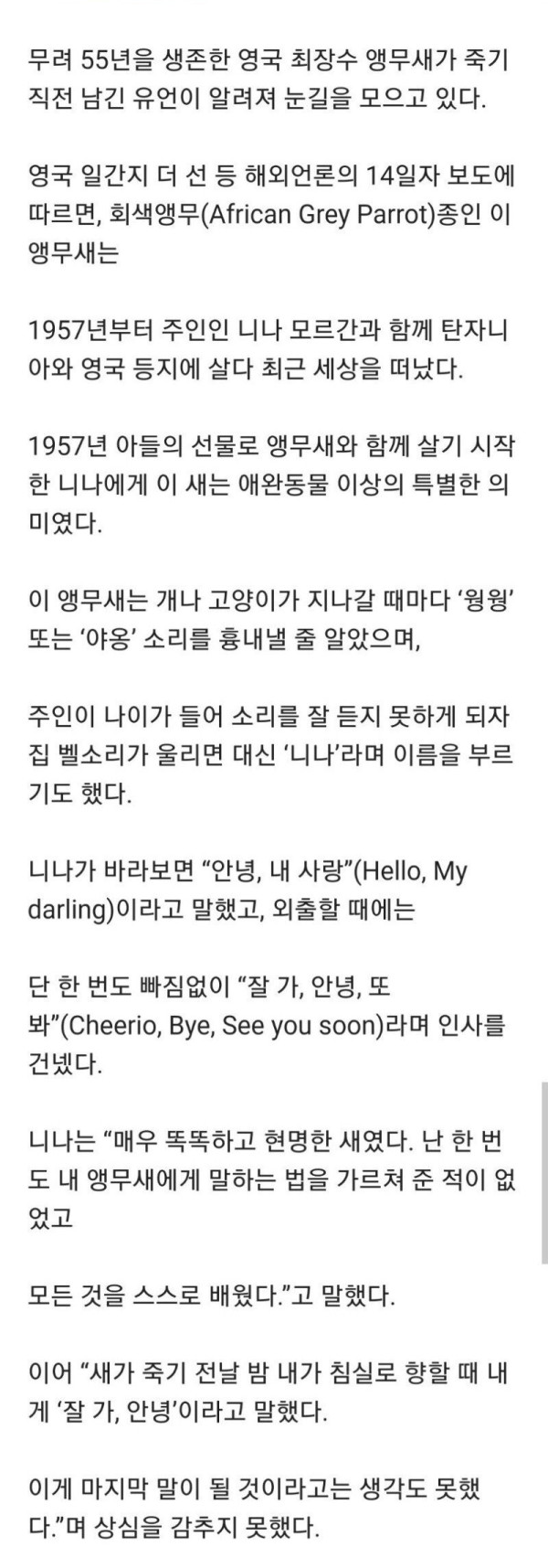 55년 긴 생을 마감한 앵무새의 마지막 말