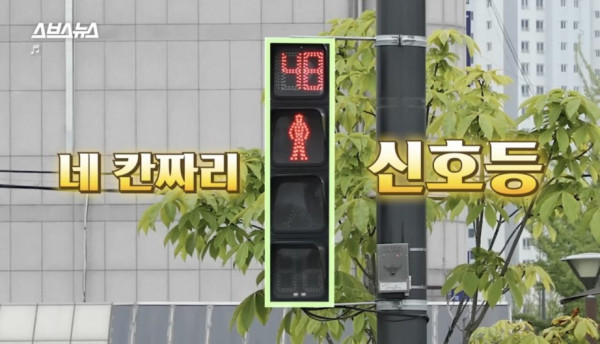 한국인들이 그토록 바라던 신호등 출시