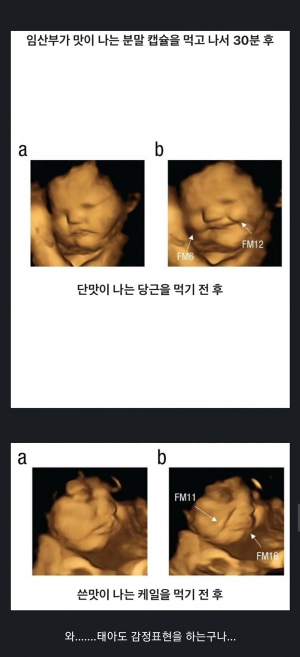 음식 먹었을 때 뱃속의 태아 표정