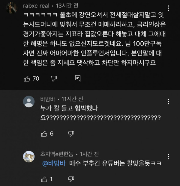 부동산 유튜버 댓글 근황