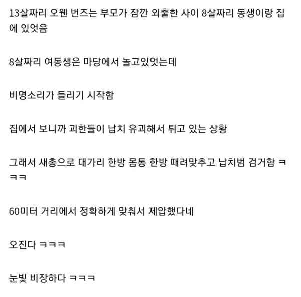 평생 여동생 심부름권 획득한 오빠