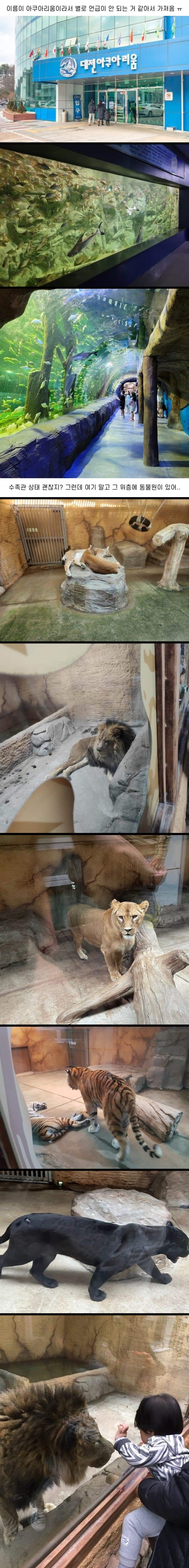 대전 아쿠아리움 상황