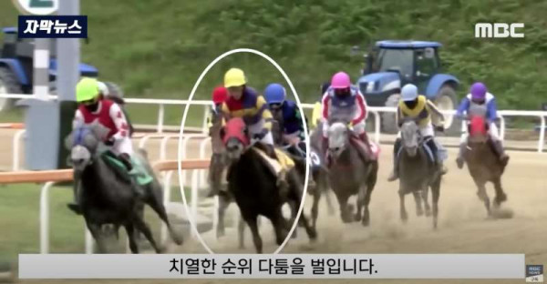 한국 경마 근황