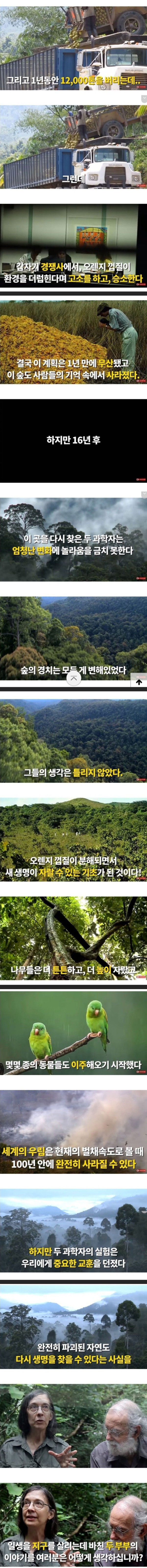 황무지에 오렌지껍질 12000톤을 갖다버리면??