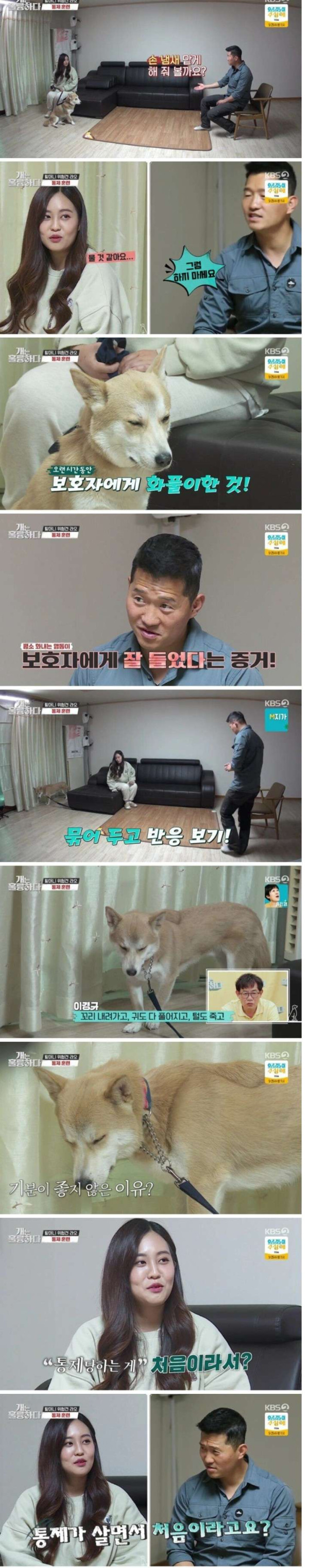 개훌륭 강형욱 근황